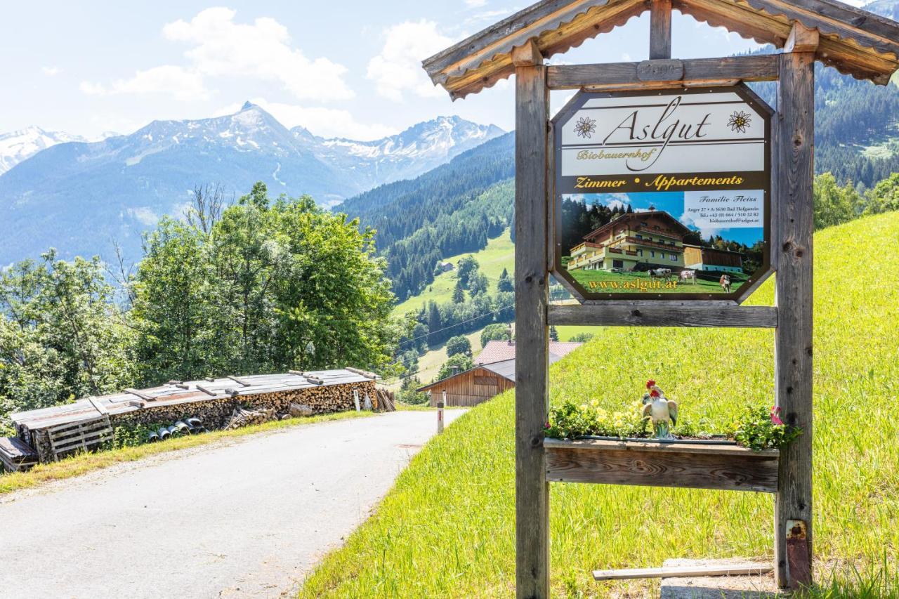 Biobauernhof Aslgut Villa Bad Hofgastein Luaran gambar