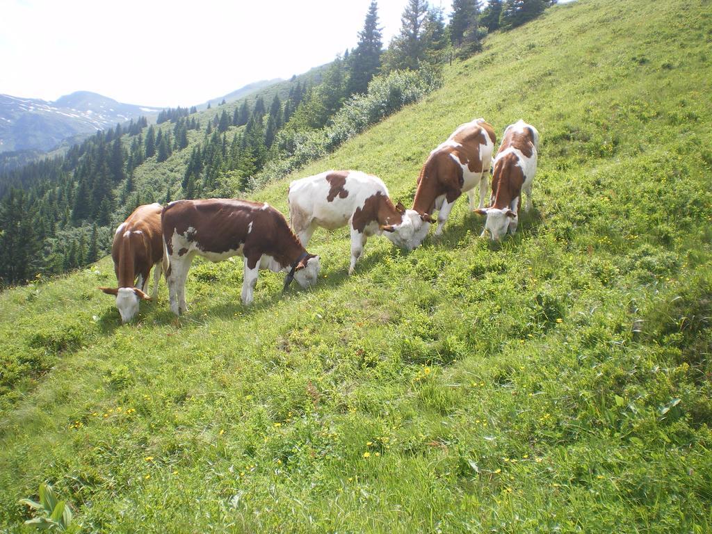 Biobauernhof Aslgut Villa Bad Hofgastein Luaran gambar
