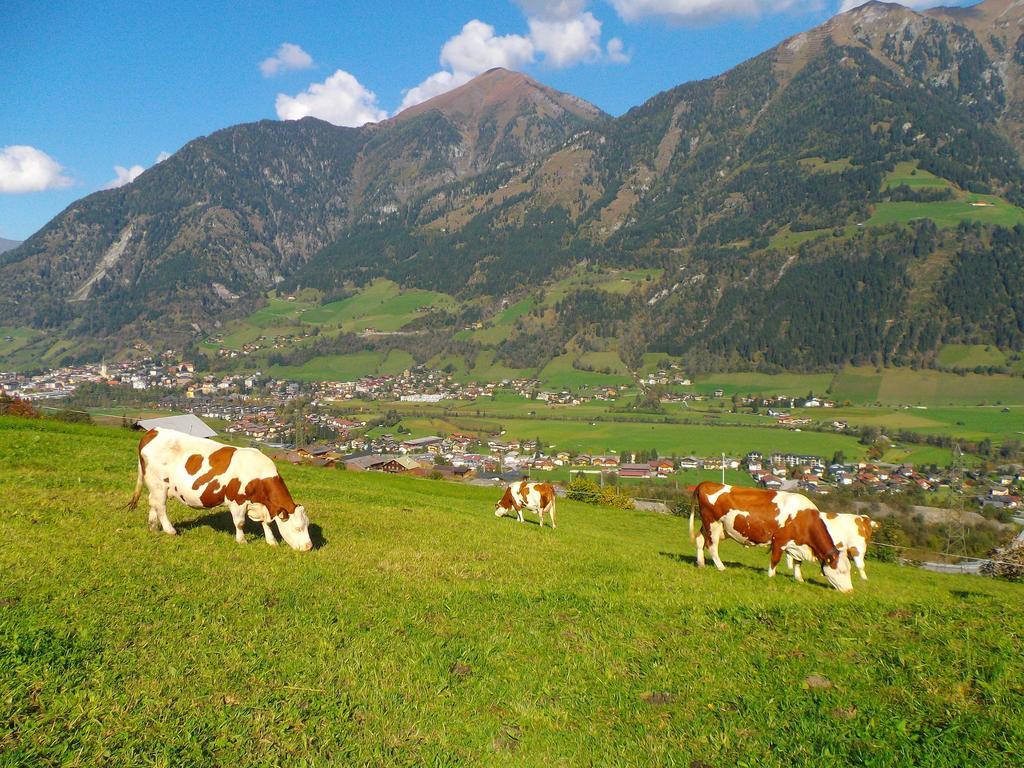 Biobauernhof Aslgut Villa Bad Hofgastein Luaran gambar
